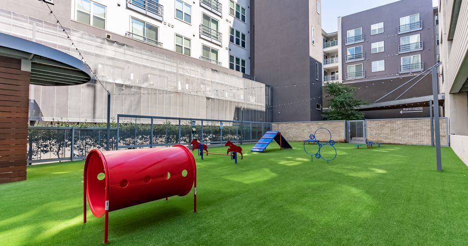 Dog Park at Austin Apartment in the Domain