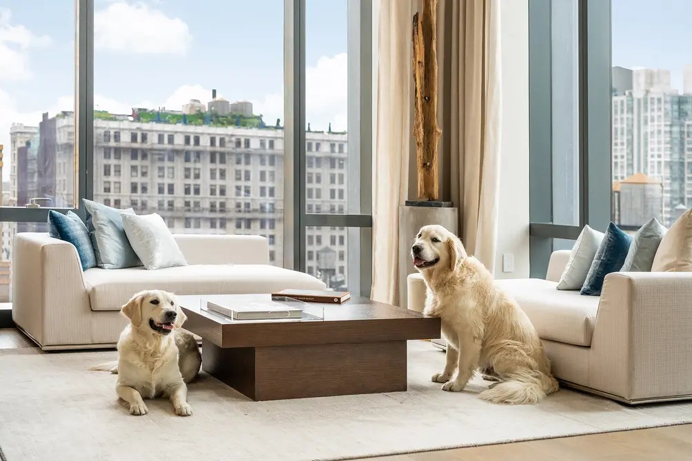 Best Austin Apartments for Dogs and Cats